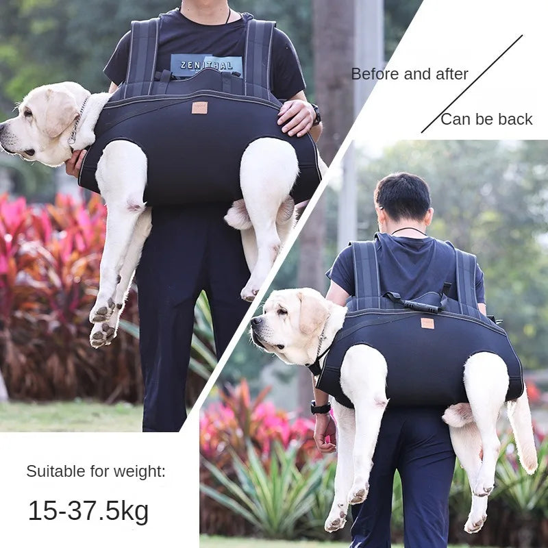 Mochila XL para perros | Asistencia cómoda y segura 🐶✨