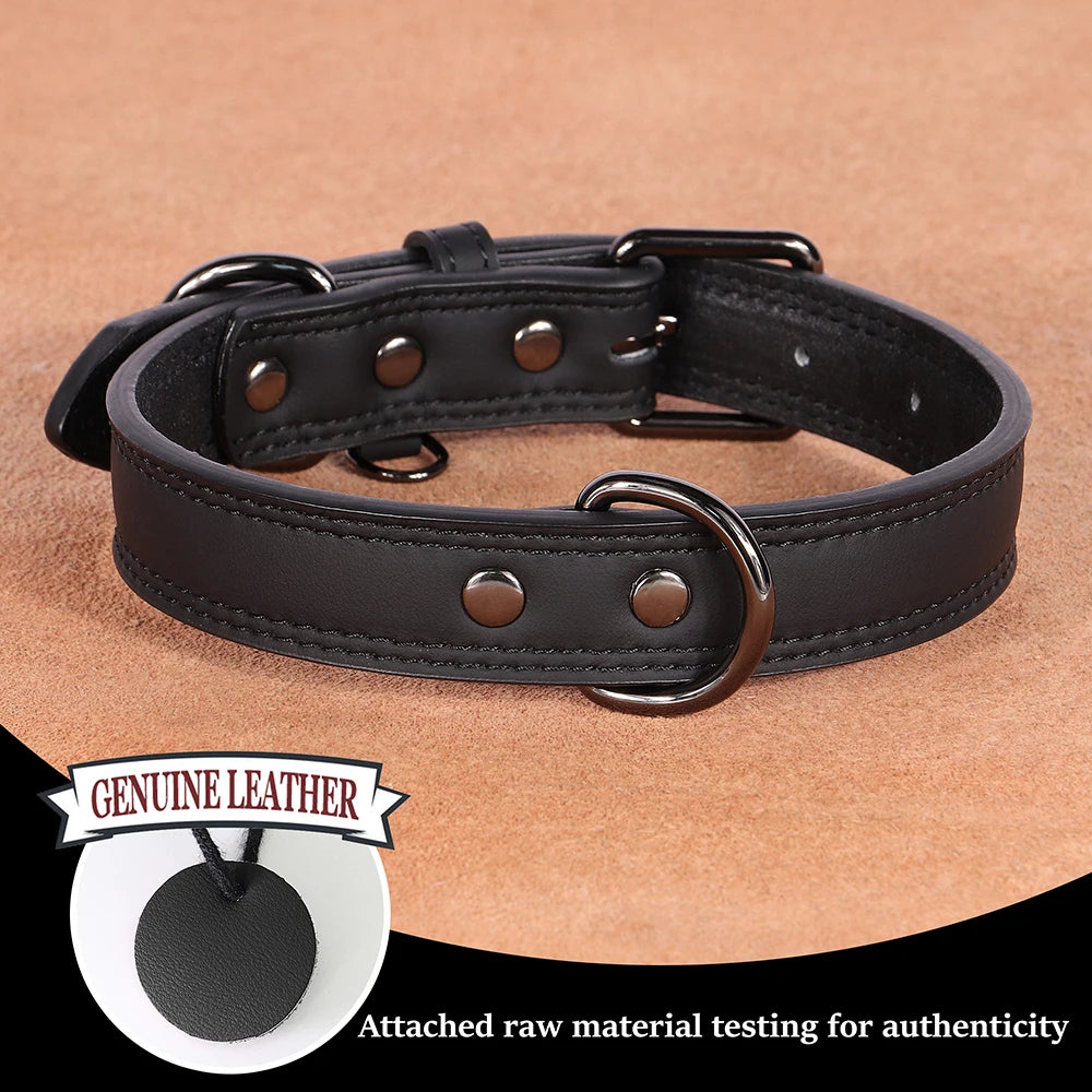 Collar de Cuero para Perros: Comodidad y Estilo Todo el Año - Mascotalux