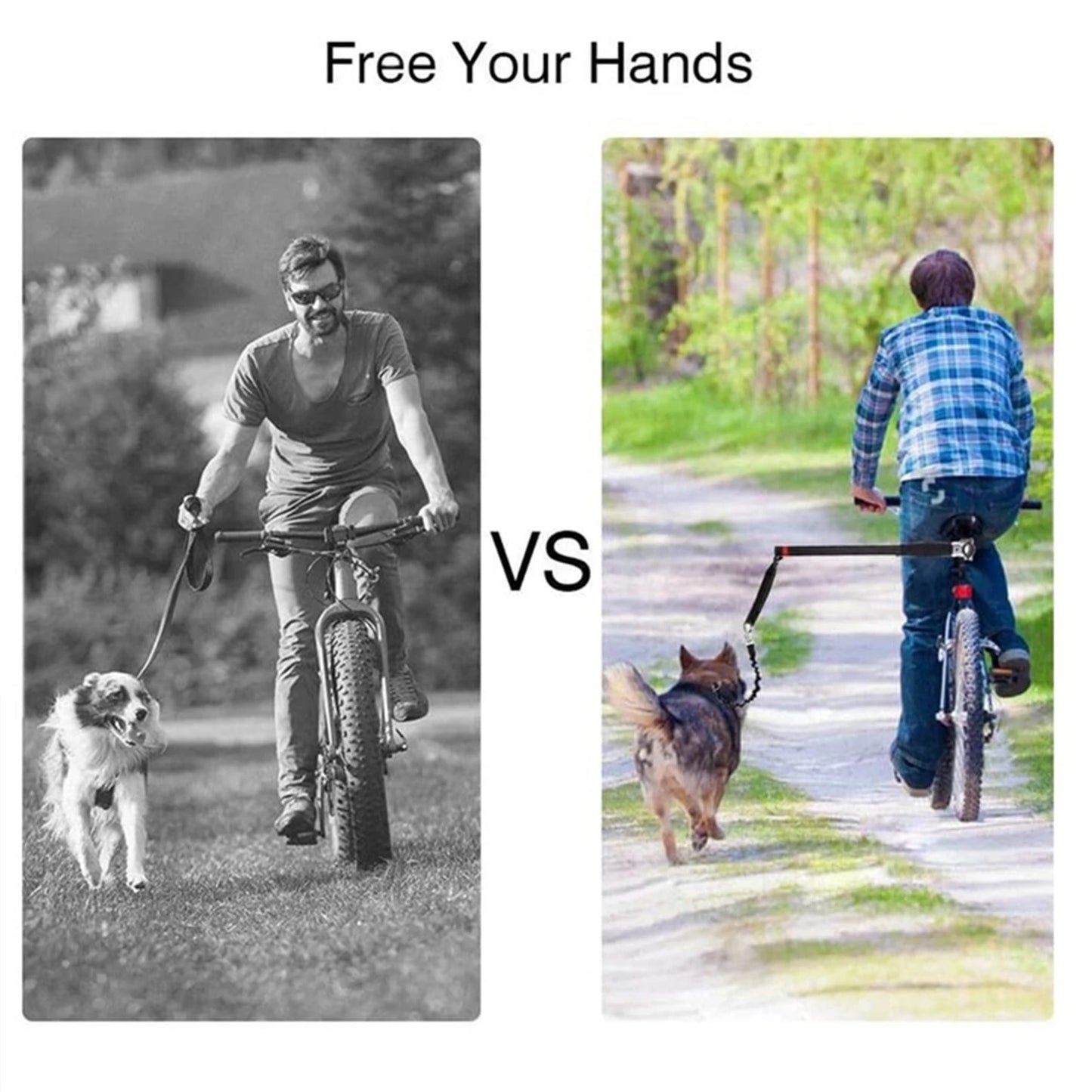 Correa Manos Libres para Perros 🐶 | ¡Paseos Seguros en Bici!