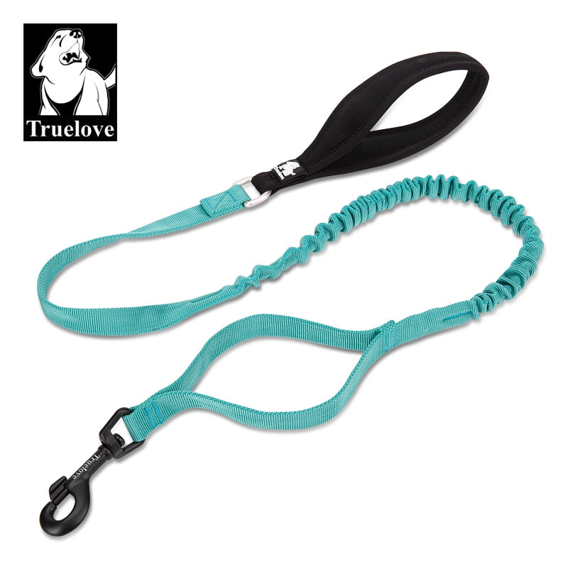 Correa Flexible para perros. Control de cuerda elástica para gran Perro fuerte. - Mascotalux