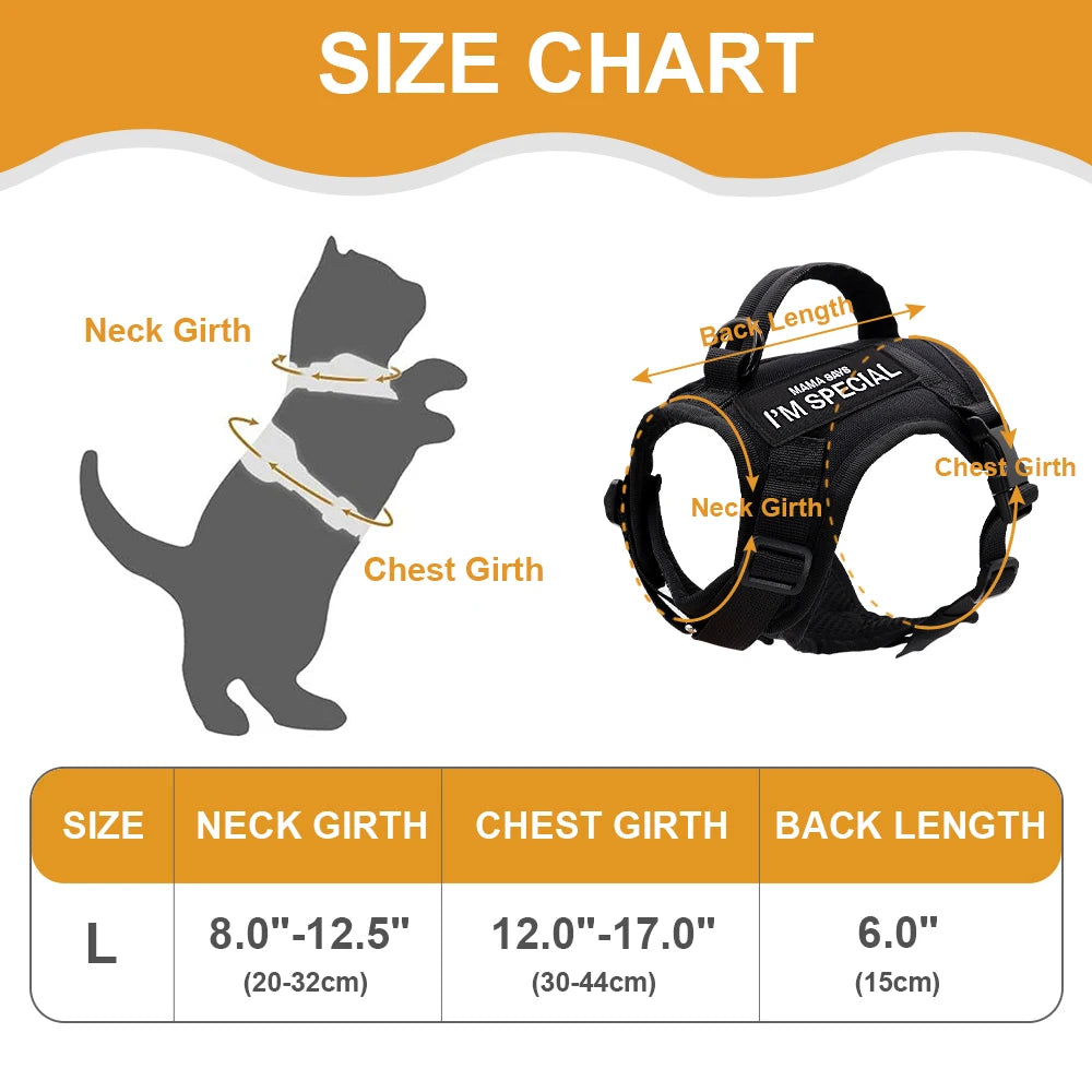 Arnés Táctico para Gatos: Seguridad, Estilo y Comodidad en Cada Paseo - Mascotalux