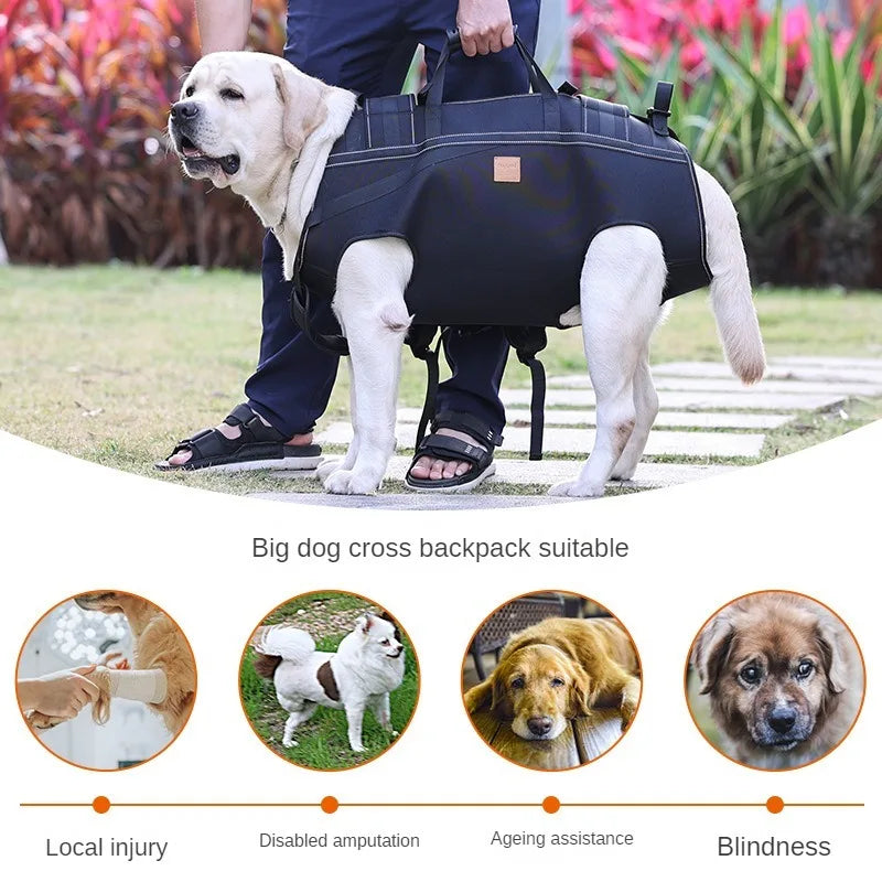Mochila XL para perros | Asistencia cómoda y segura 🐶✨