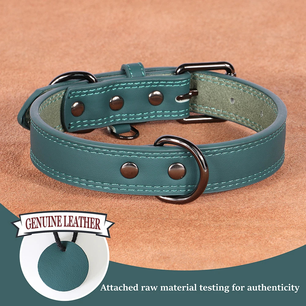 Collar de Cuero para Perros: Comodidad y Estilo Todo el Año - Mascotalux