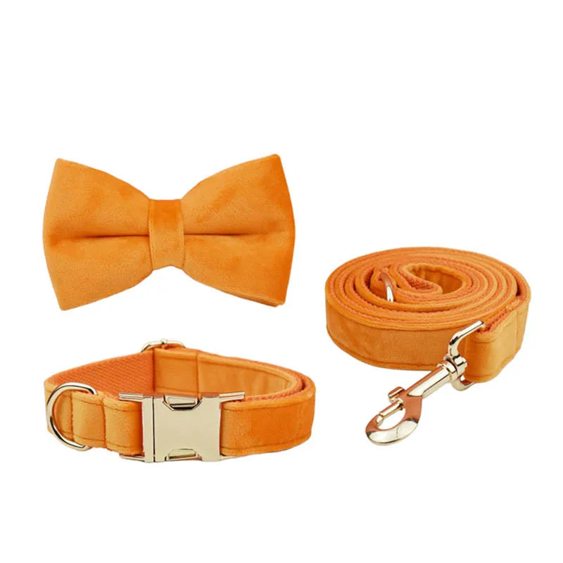 Conjunto de Collar y Correa de Terciopelo Naranja para Perros: Estilo Exclusivo y Seguridad Personalizada para tu Compañero Peludo - Mascotalux