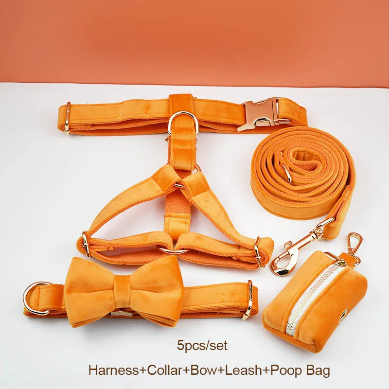 Conjunto de Collar y Correa de Terciopelo Naranja para Perros: Estilo Exclusivo y Seguridad Personalizada para tu Compañero Peludo - Mascotalux