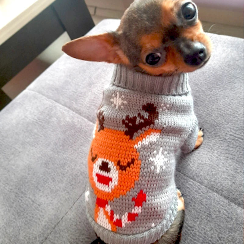¡Dale a tu mascota estilo y calidez este invierno con Wang Shan Meow! - Mascotalux