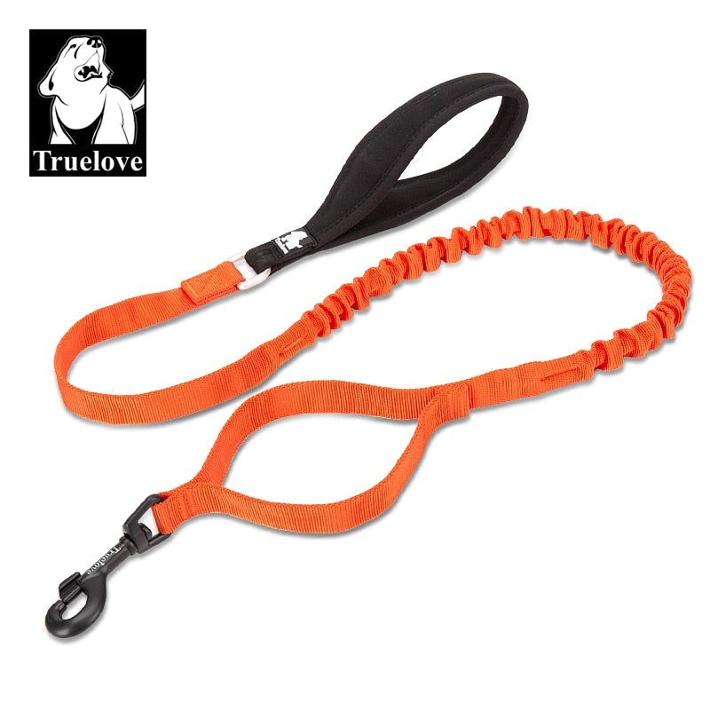 Correa Flexible para perros. Control de cuerda elástica para gran Perro fuerte. - Mascotalux