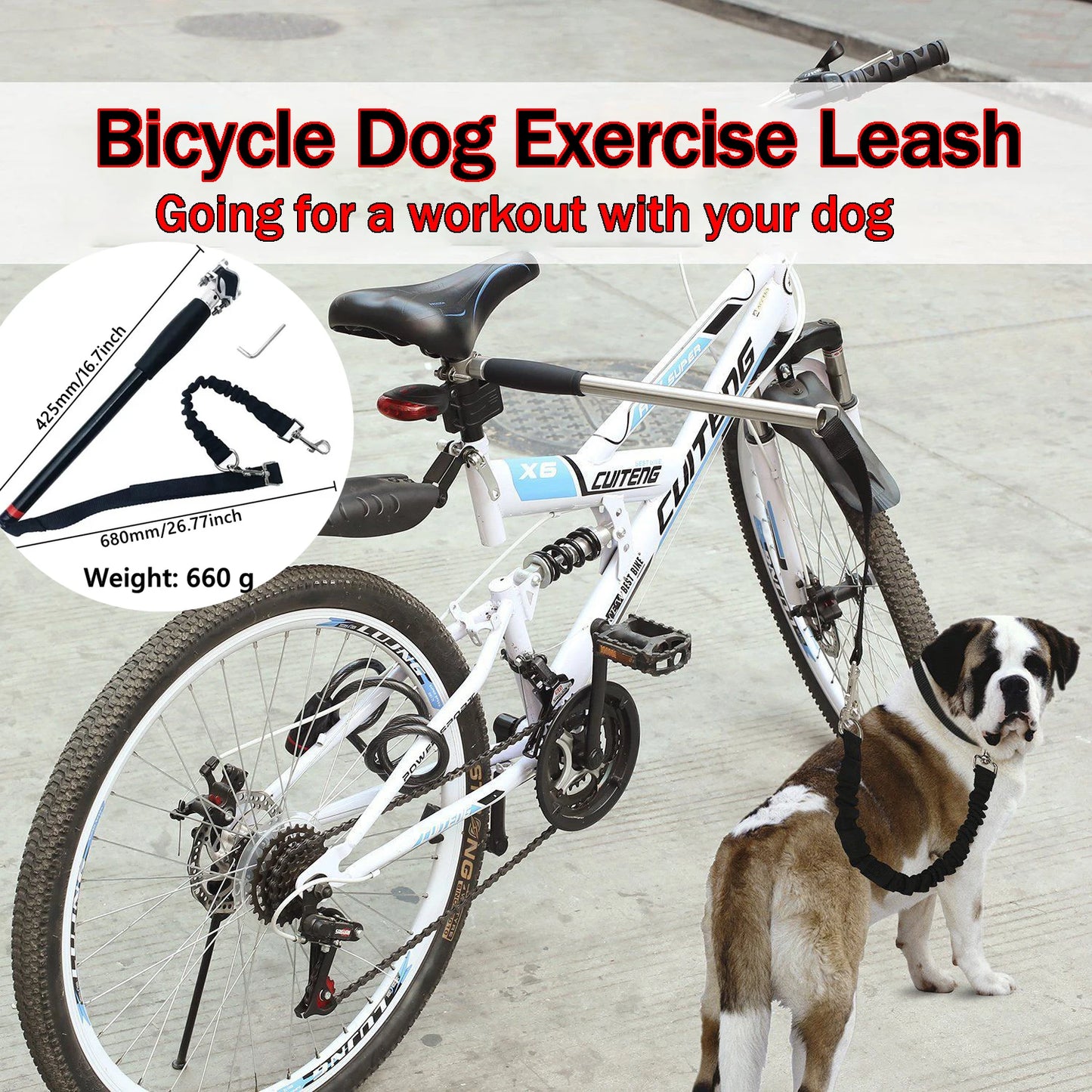 Correa Manos Libres para Perros 🐶 | ¡Paseos Seguros en Bici!