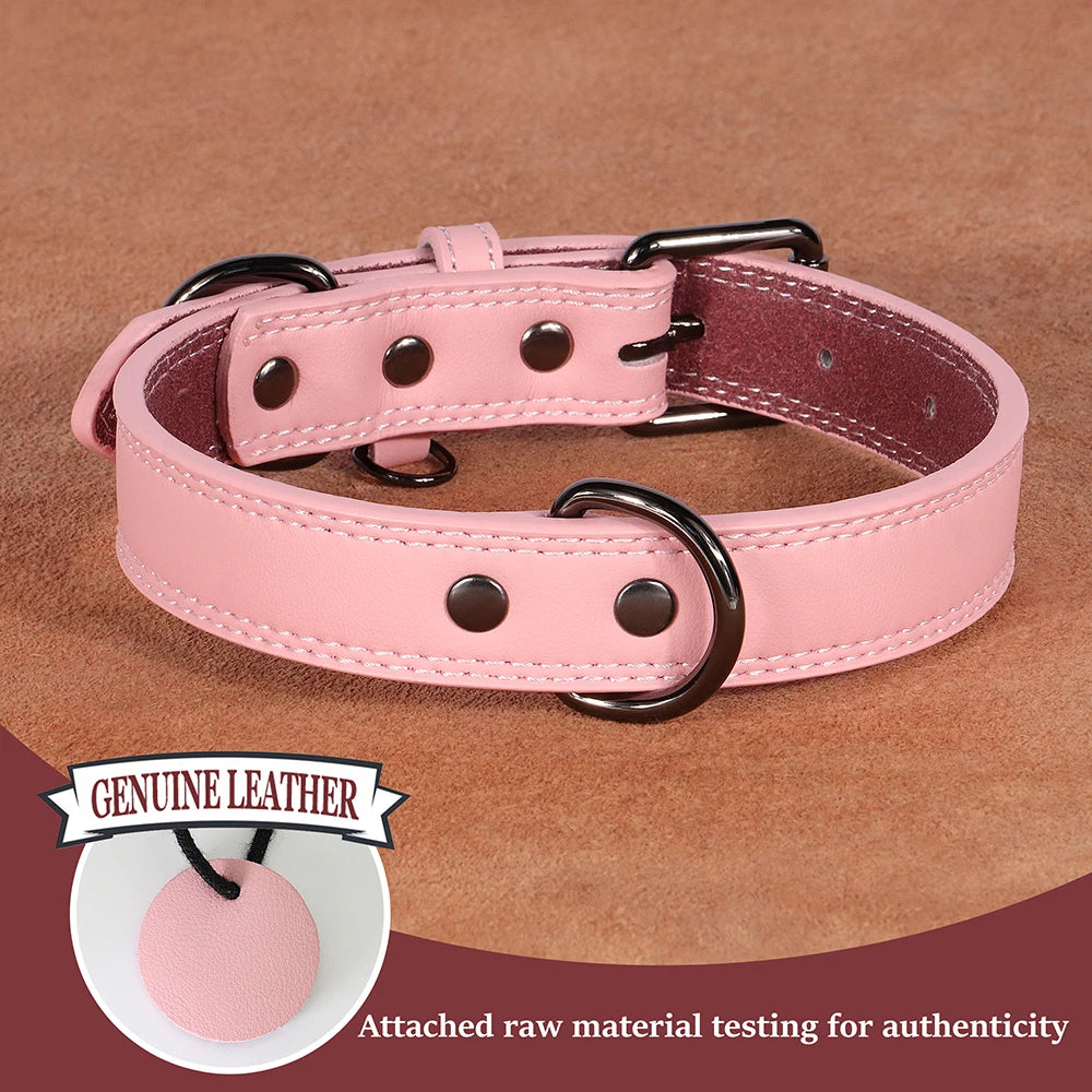 Collar de Cuero para Perros: Comodidad y Estilo Todo el Año - Mascotalux