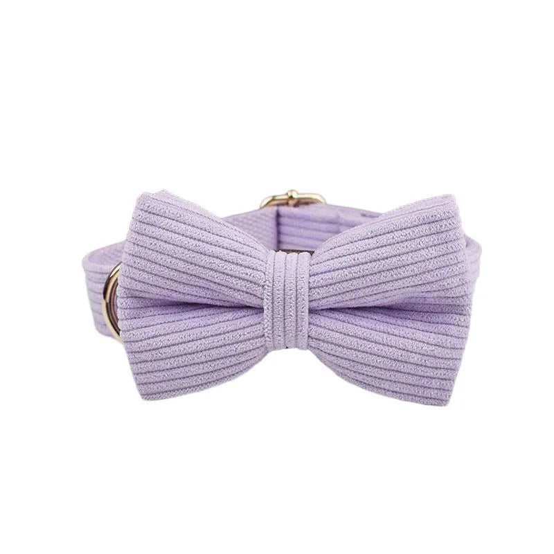 Collar y Correa de Pana Rosa y Púrpura con Placa de Identificación Personalizada para Perros - Elegancia y Seguridad para tu Mascota - Mascotalux