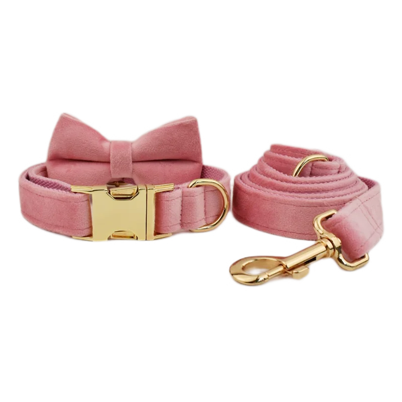 ¡Elegancia y Seguridad en un Solo Collar! Descubre Nuestro Collar y Correa de Terciopelo Rosa con Placa de Identificación Grabada para Perros de Todas las Tallas. - Mascotalux