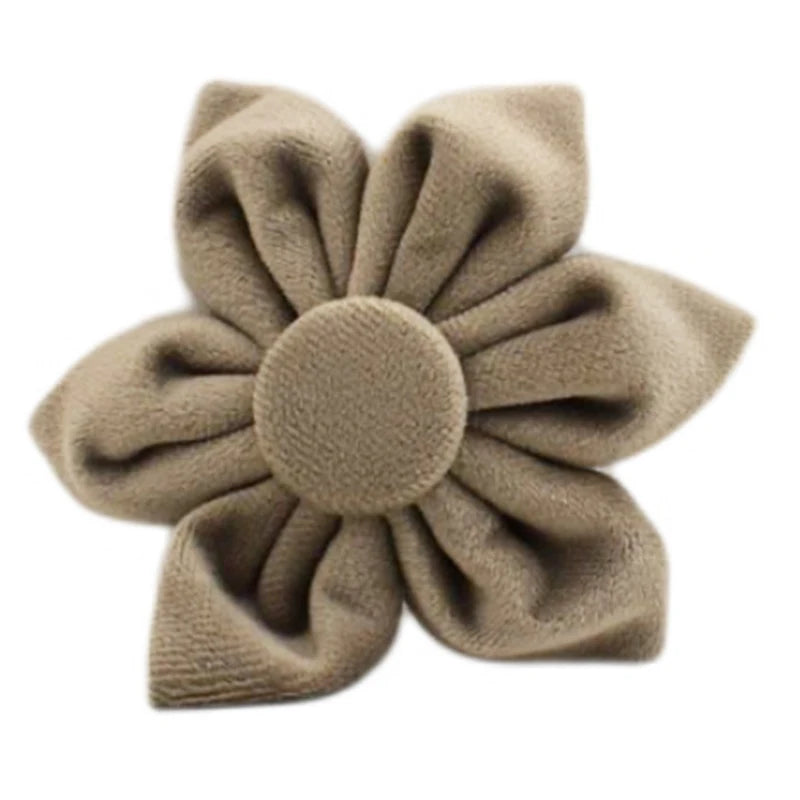 🎀 Elegancia y seguridad para tu peludo: ¡Descubre el combo ideal!