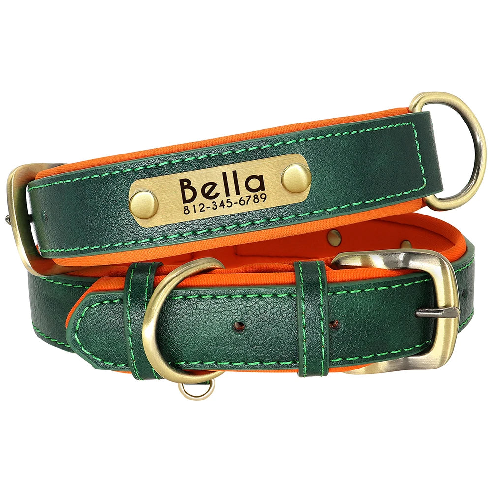 🐾 ¡El Collar de Cuero Personalizado que Tu Perro Merece! 🐾