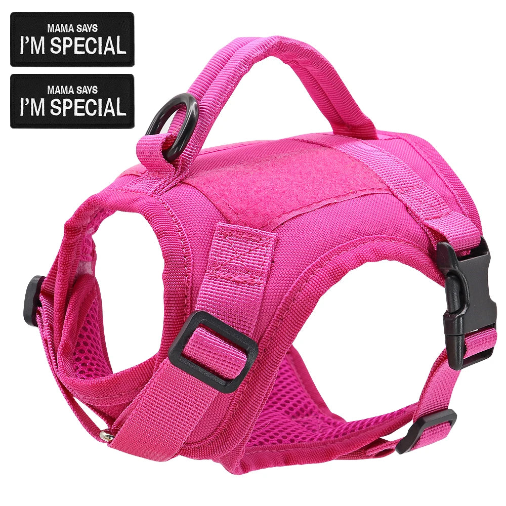 Arnés Táctico para Gatos: Seguridad, Estilo y Comodidad en Cada Paseo - Mascotalux