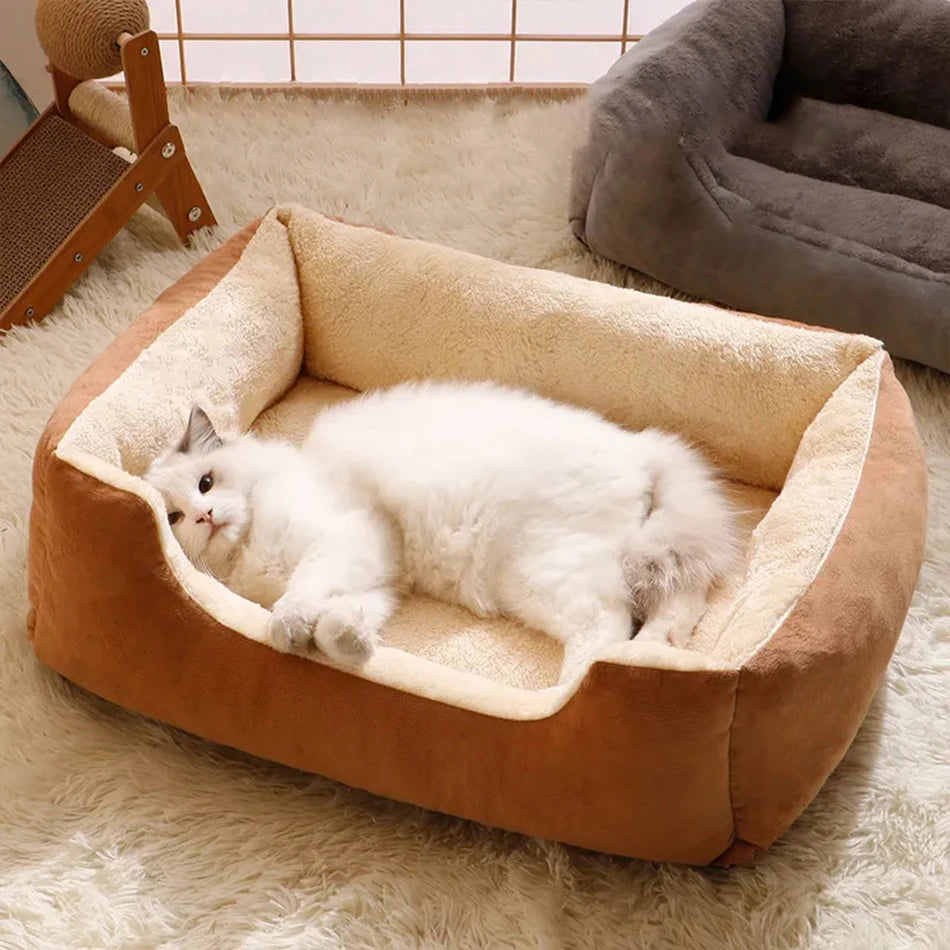 ✨ Cama de felpa para gatos – ¡Comodidad y calidez aseguradas! 🐱💤