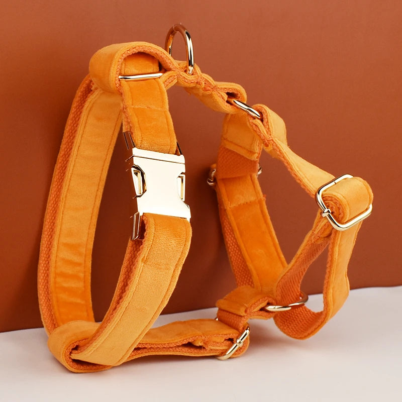 Conjunto de Collar y Correa de Terciopelo Naranja para Perros: Estilo Exclusivo y Seguridad Personalizada para tu Compañero Peludo - Mascotalux