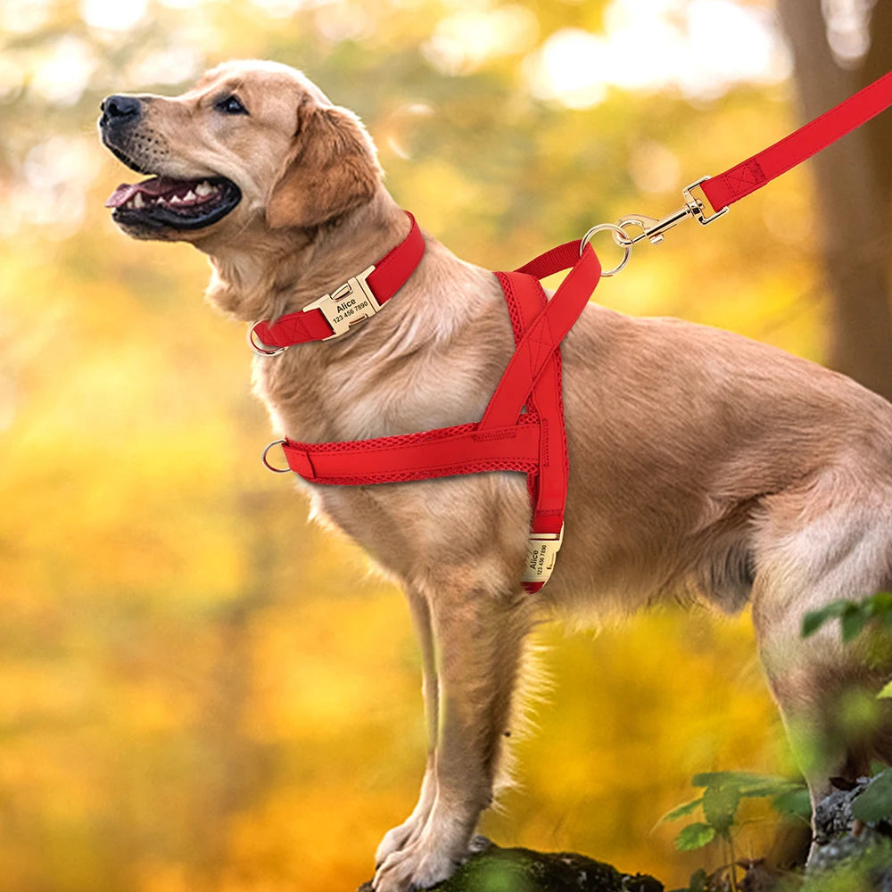 ¡El Collar Perfecto para tu Mejor Amigo Canino! - Mascotalux