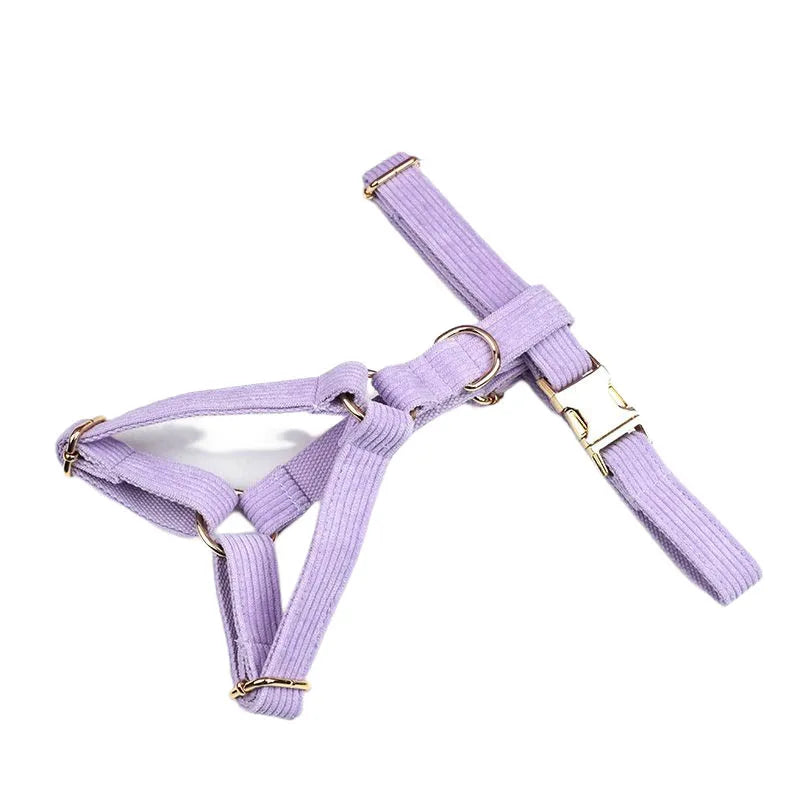 Collar y Correa de Pana Rosa y Púrpura con Placa de Identificación Personalizada para Perros - Elegancia y Seguridad para tu Mascota - Mascotalux