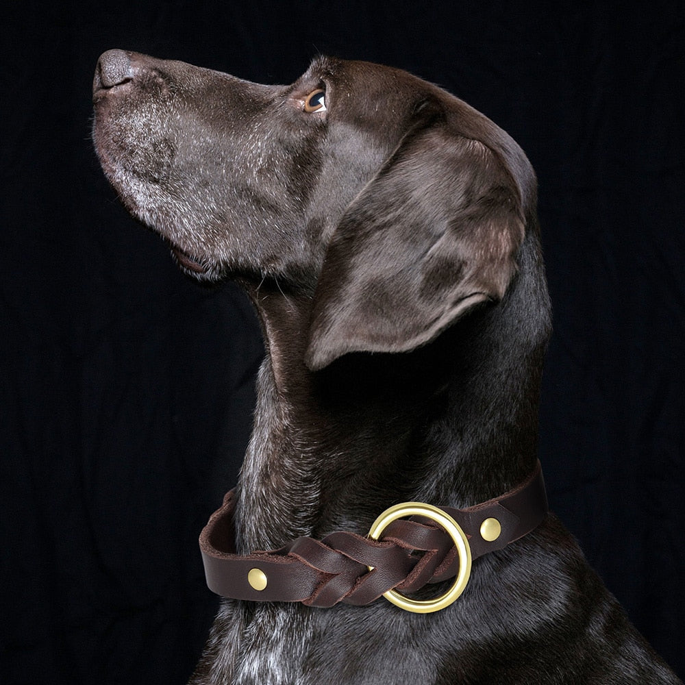 Descubre el Collar de Cuero Genuino para Perros que Impulsará la Aventura de tu Pastor Alemán! - Mascotalux