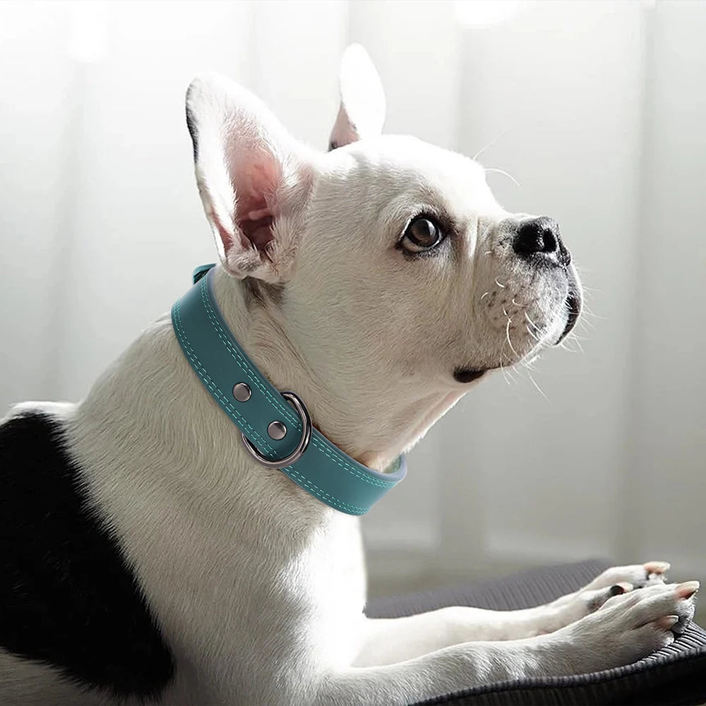 Collar de Cuero para Perros: Comodidad y Estilo Todo el Año - Mascotalux