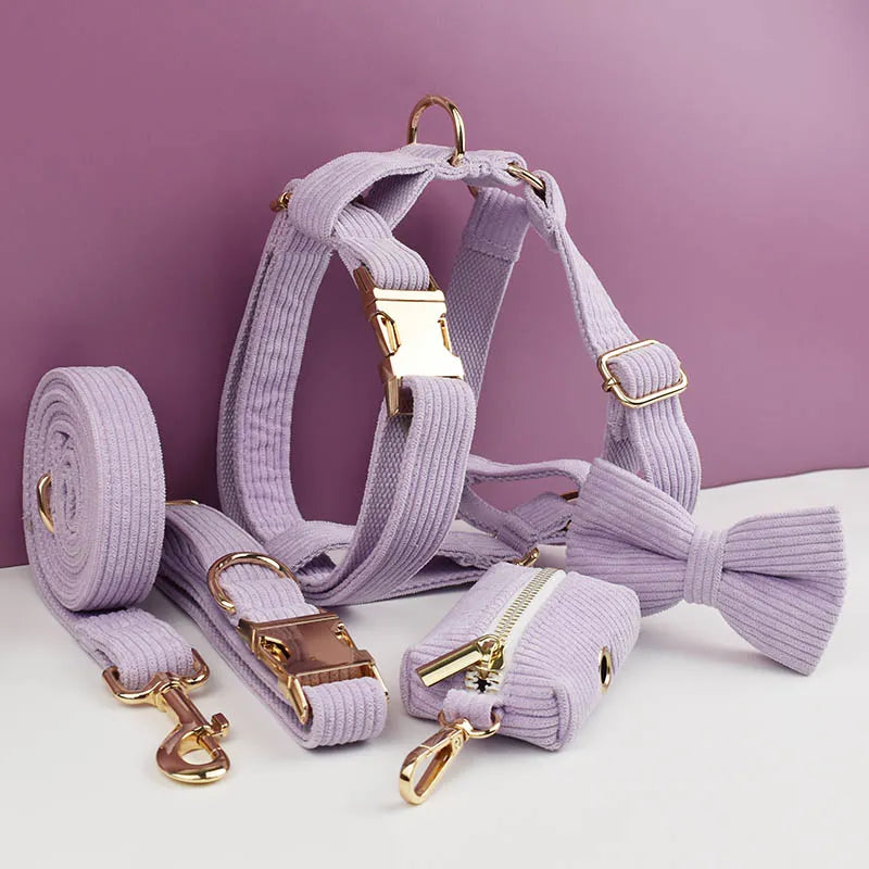 Collar y Correa de Pana Rosa y Púrpura con Placa de Identificación Personalizada para Perros - Elegancia y Seguridad para tu Mascota - Mascotalux
