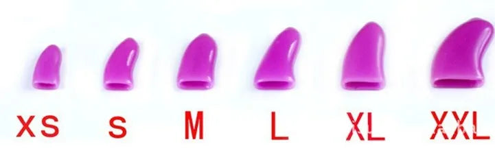 ¡Adiós arañazos! Protege a tu perro y tu hogar con estilo 🐾