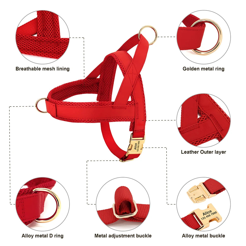 ¡El Collar Perfecto para tu Mejor Amigo Canino! - Mascotalux