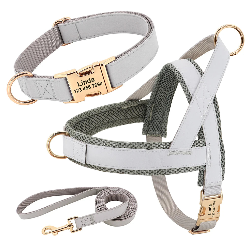 ¡El Collar Perfecto para tu Mejor Amigo Canino! - Mascotalux