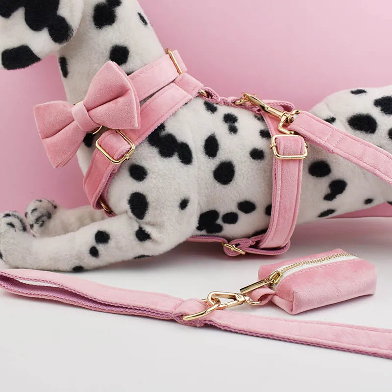 ¡Elegancia y Seguridad en un Solo Collar! Descubre Nuestro Collar y Correa de Terciopelo Rosa con Placa de Identificación Grabada para Perros de Todas las Tallas. - Mascotalux