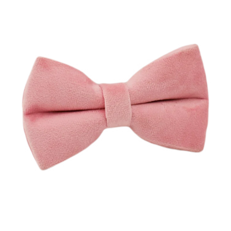 ¡Elegancia y Seguridad en un Solo Collar! Descubre Nuestro Collar y Correa de Terciopelo Rosa con Placa de Identificación Grabada para Perros de Todas las Tallas. - Mascotalux