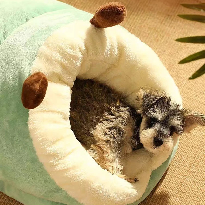 🏡 ¡El refugio perfecto para tu mascota! Comodidad, calidez y estilo en uno 🐶🐱
