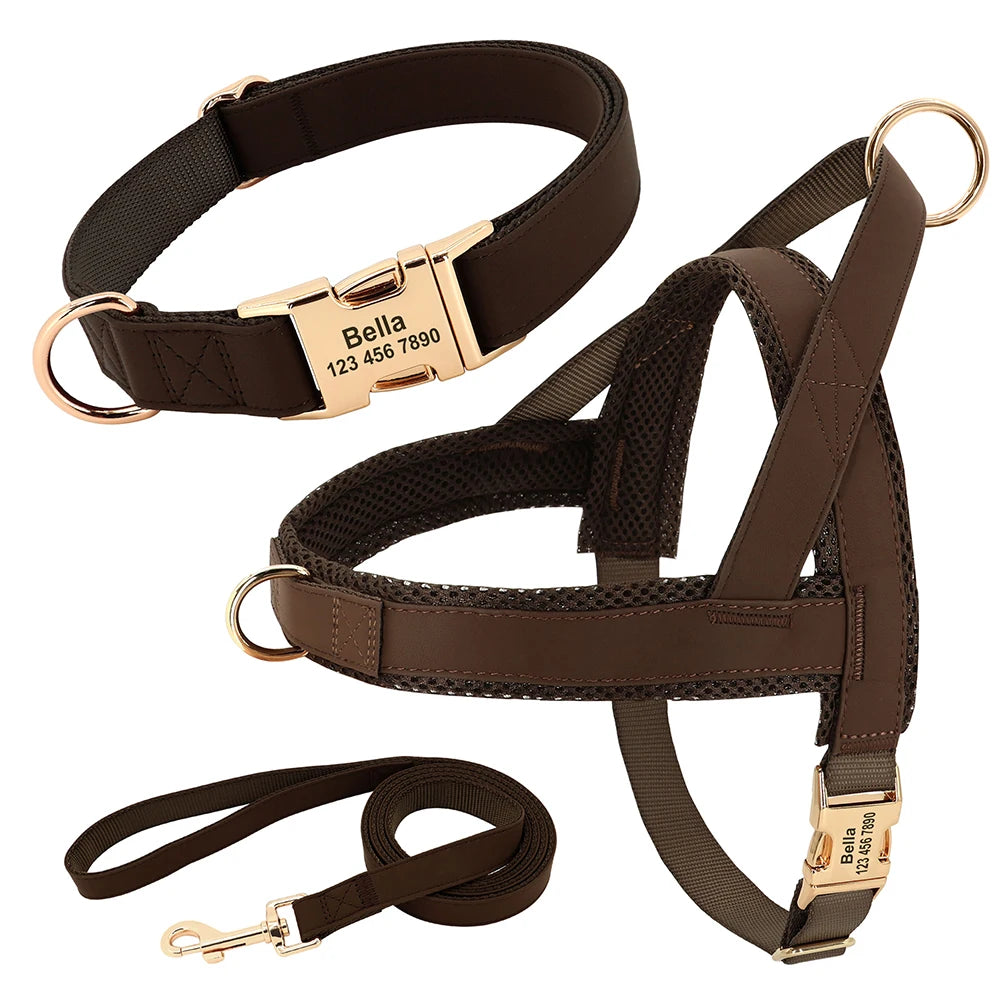 ¡El Collar Perfecto para tu Mejor Amigo Canino! - Mascotalux