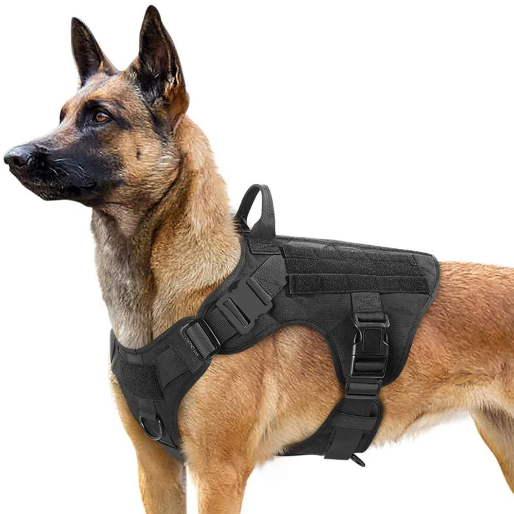 Arnés Táctico para Perros 3 Juegos: Arnés y Correa, Arnés y Correa y Collar, Conjunto. Resistente, cómodo y versátil. - Mascotalux