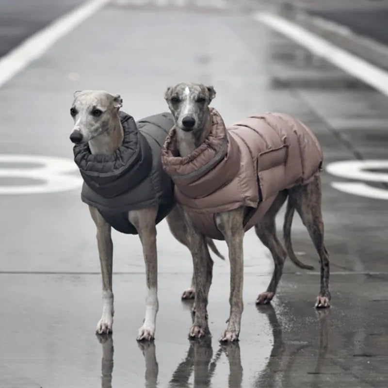 Chaqueta de invierno para perros: Protección contra frío y viento - Mascotalux