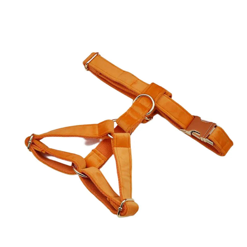 Conjunto de Collar y Correa de Terciopelo Naranja para Perros: Estilo Exclusivo y Seguridad Personalizada para tu Compañero Peludo - Mascotalux