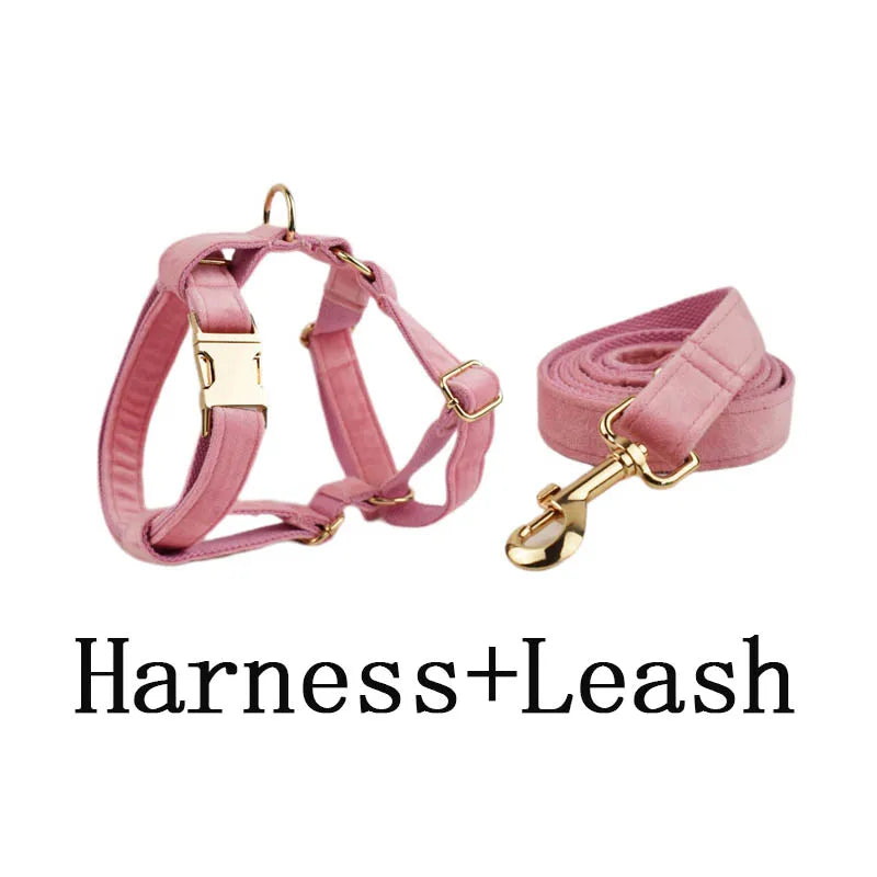 ¡Elegancia y Seguridad en un Solo Collar! Descubre Nuestro Collar y Correa de Terciopelo Rosa con Placa de Identificación Grabada para Perros de Todas las Tallas. - Mascotalux