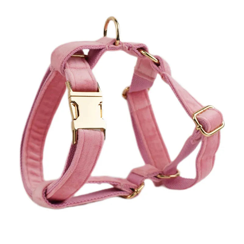 ¡Elegancia y Seguridad en un Solo Collar! Descubre Nuestro Collar y Correa de Terciopelo Rosa con Placa de Identificación Grabada para Perros de Todas las Tallas. - Mascotalux