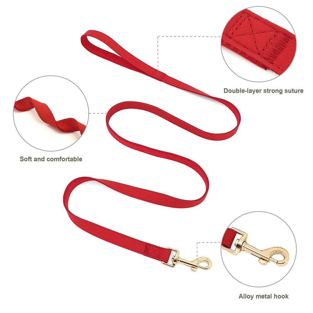 ¡El Collar Perfecto para tu Mejor Amigo Canino! - Mascotalux