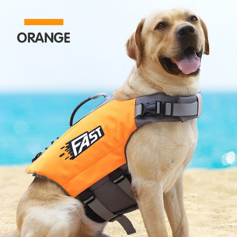 Sumérgete en la Seguridad: Chaleco Salvavidas Reflectante para Perros, ¡Diversión sin Preocupaciones! - Mascotalux