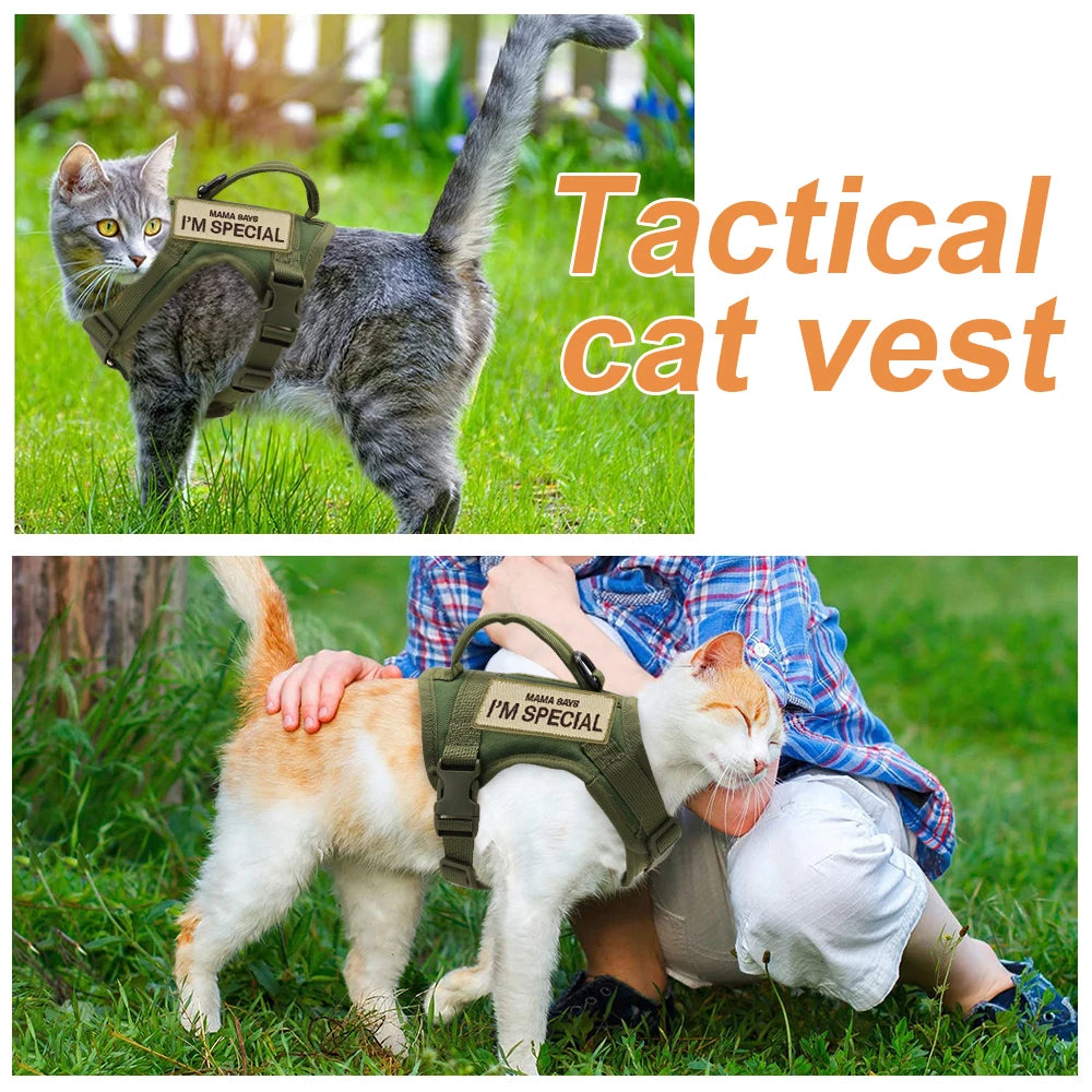 Arnés Táctico para Gatos: Seguridad, Estilo y Comodidad en Cada Paseo - Mascotalux
