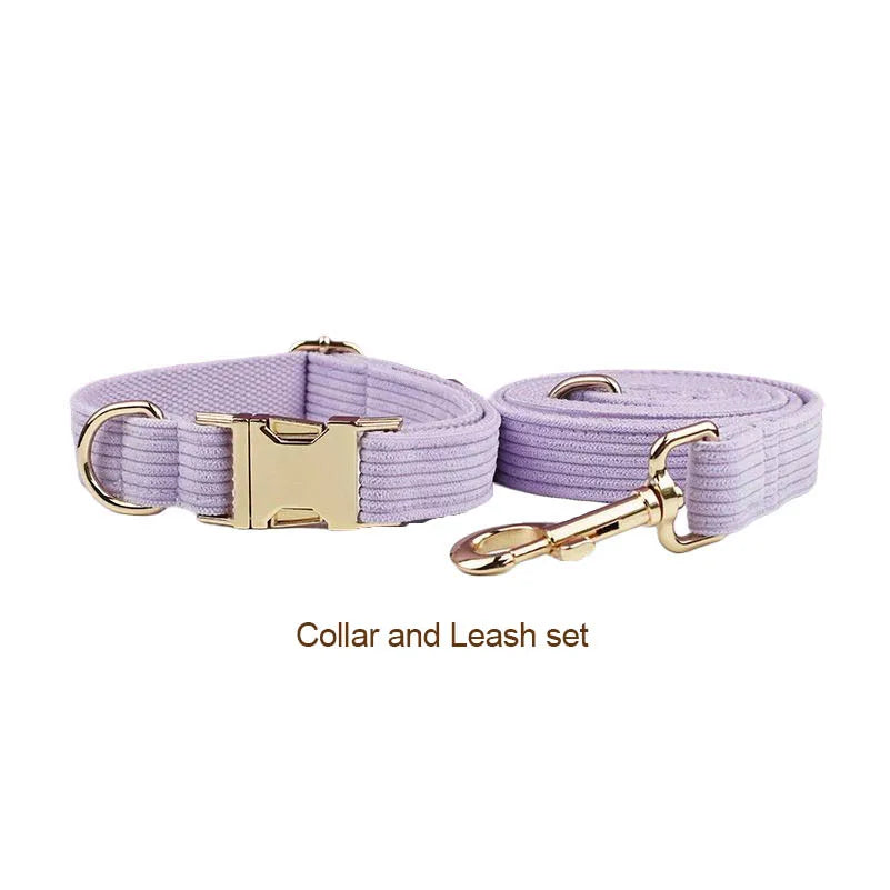 Collar y Correa de Pana Rosa y Púrpura con Placa de Identificación Personalizada para Perros - Elegancia y Seguridad para tu Mascota - Mascotalux