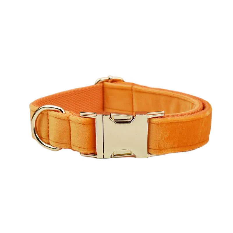 Conjunto de Collar y Correa de Terciopelo Naranja para Perros: Estilo Exclusivo y Seguridad Personalizada para tu Compañero Peludo - Mascotalux
