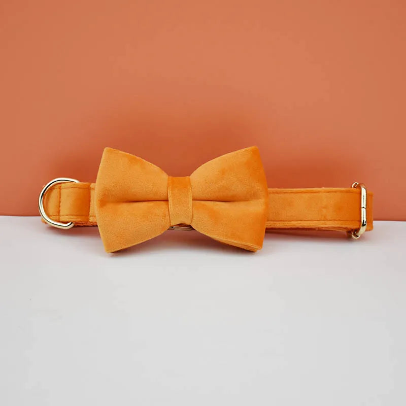 Conjunto de Collar y Correa de Terciopelo Naranja para Perros: Estilo Exclusivo y Seguridad Personalizada para tu Compañero Peludo - Mascotalux