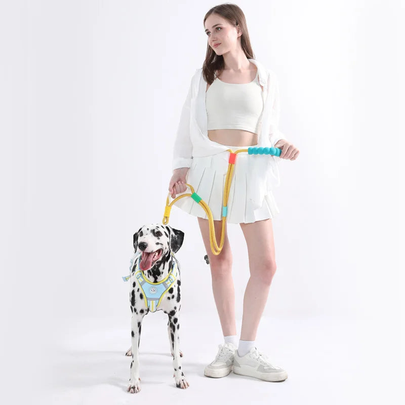 ¡Control y confort en cada paseo! 🐾 Descubre la correa para tu perro