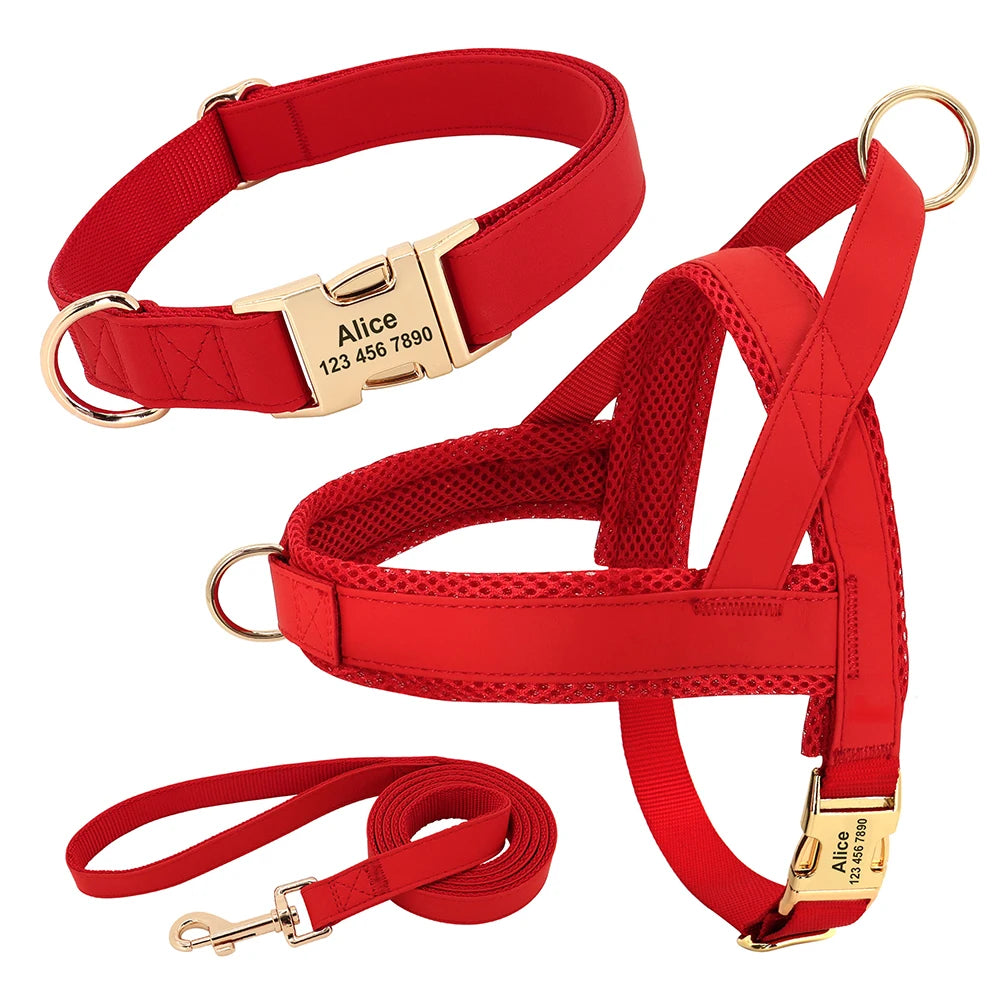¡El Collar Perfecto para tu Mejor Amigo Canino! - Mascotalux
