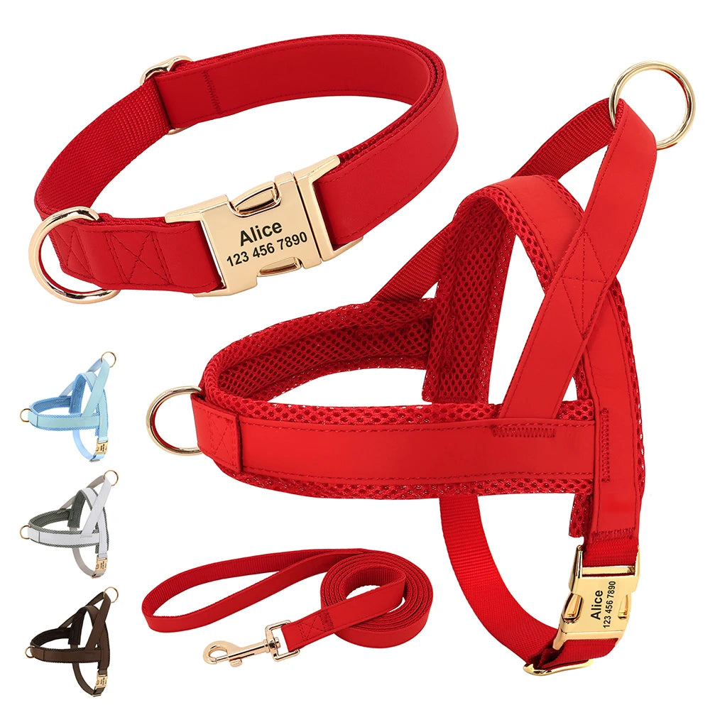 ¡El Collar Perfecto para tu Mejor Amigo Canino! - Mascotalux
