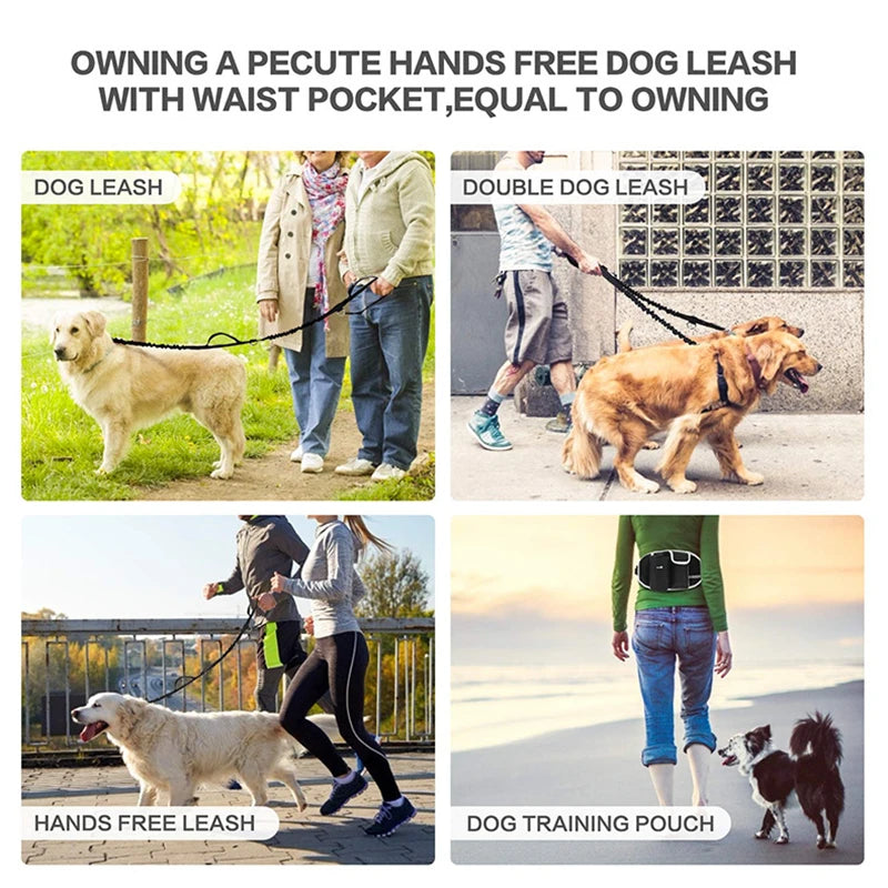 Riñonera de Entrenamiento para Perros: Bolsa de Trato Manos Libres - Mascotalux