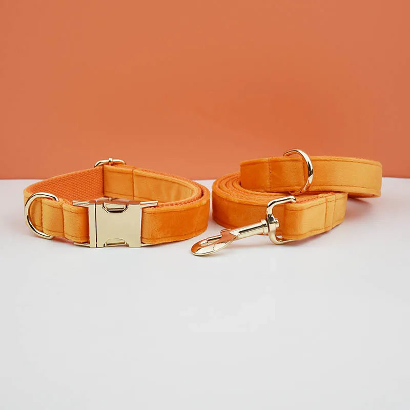 Conjunto de Collar y Correa de Terciopelo Naranja para Perros: Estilo Exclusivo y Seguridad Personalizada para tu Compañero Peludo - Mascotalux