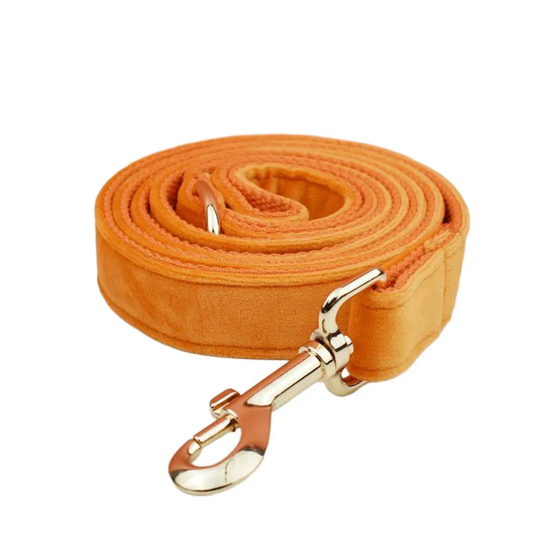 Conjunto de Collar y Correa de Terciopelo Naranja para Perros: Estilo Exclusivo y Seguridad Personalizada para tu Compañero Peludo - Mascotalux