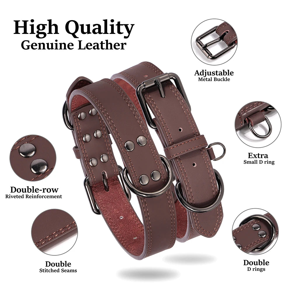 Collar de Cuero para Perros: Comodidad y Estilo Todo el Año - Mascotalux